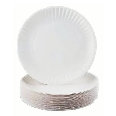 PLATO CARTON N°1  50 UND
